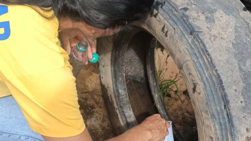 Alto Paraíso: Alerta Agente Coordenador de Endemias reforça combate à dengue e chikungunya – Vídeo