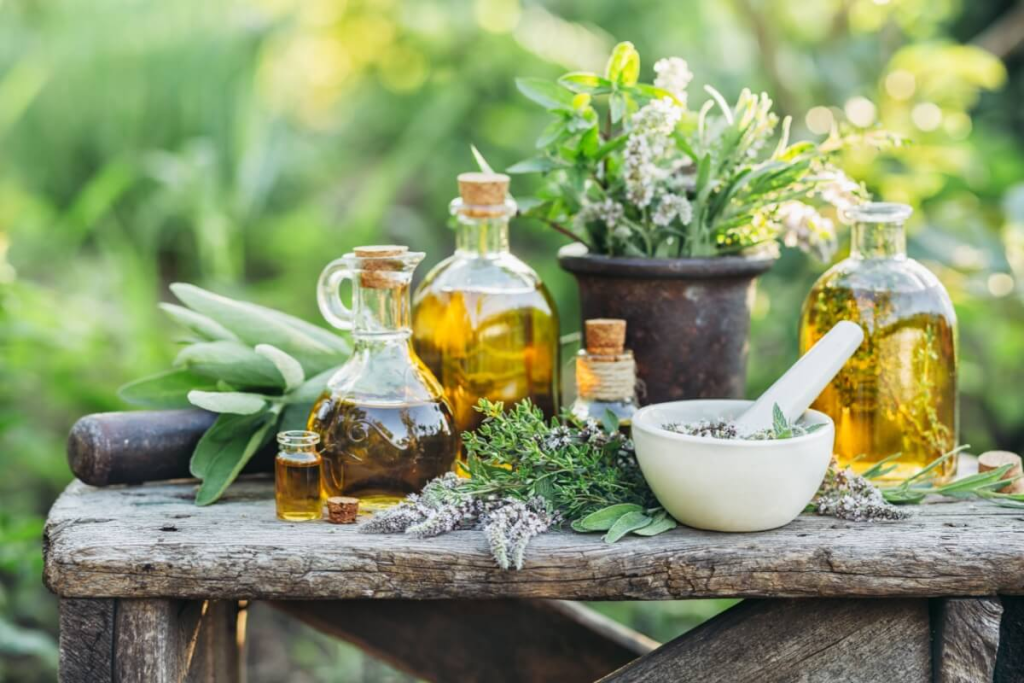 6 plantas benéficas para a saúde da mulher na menopausa 6-plantas-beneficas-para-a-saude-da-mulher-na-menopausa