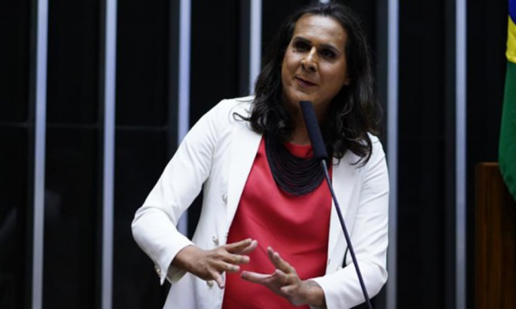 Deputada federal pede prisão de Bolsonaro após manifestação pró-anistia deputada-federal-pede-prisao-de-bolsonaro-apos-manifestacao-pro-anistia