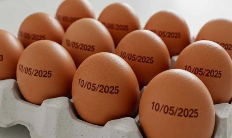 Brasil bate recorde de exportações de Ovo e Frango enquanto o preço aumenta para os brasileiros brasil-bate-recorde-de-exportacoes-de-ovo-e-frango-enquanto-o-preco-aumenta-para-os-brasileiros