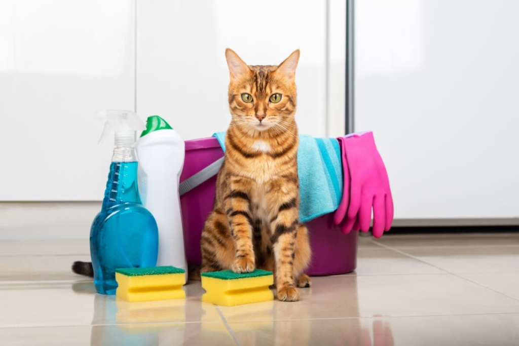 8 cuidados com produtos de limpeza e animais de estimação 8-cuidados-com-produtos-de-limpeza-e-animais-de-estimacao