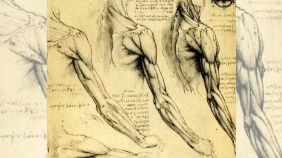 Saiba o que é FOP, doença que transforma músculo em osso saiba-o-que-e-fop,-doenca-que-transforma-musculo-em-osso