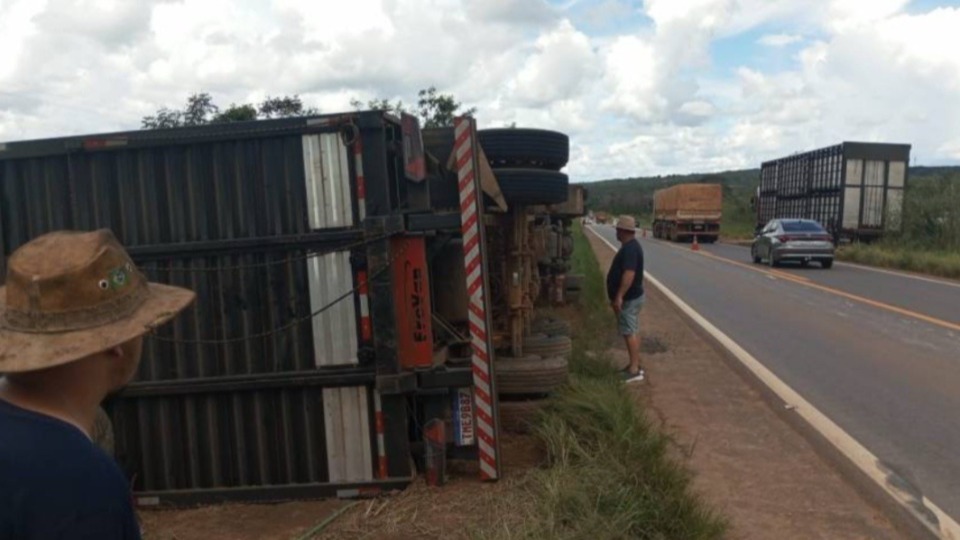 Carreta boiadeira carregada tomba e alguns animais morrem na BR-364 carreta-boiadeira-carregada-tomba-e-alguns-animais-morrem-na-br-364