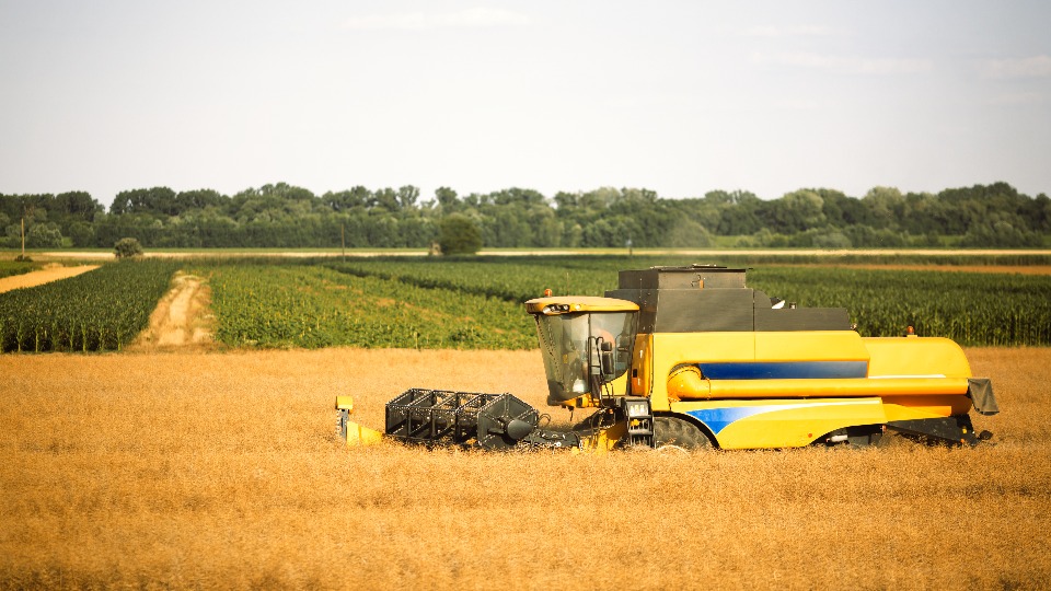 BNDES libera R$ 382 milhões para o agro de Rondônia no Plano Safra 2024/2025 bndes-libera-r$-382-milhoes-para-o-agro-de-rondonia-no-plano-safra-2024/2025