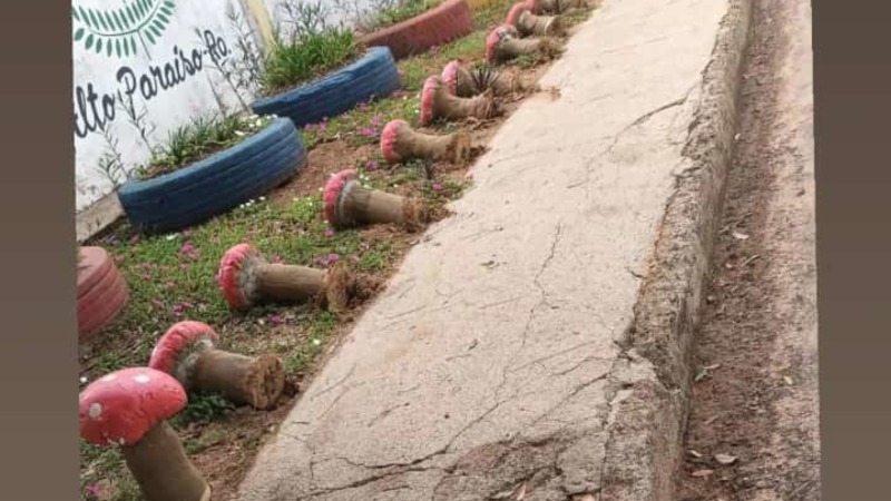 Alto Paraíso: Associação de Pais e Amigos dos Excepcionais (APAE) do município, é alvo de vandalismo nesse final de semana.
