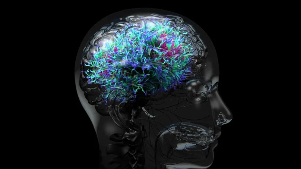Vício é sintoma de trauma profundo, diz médico especialista vicio-e-sintoma-de-trauma-profundo,-diz-medico-especialista