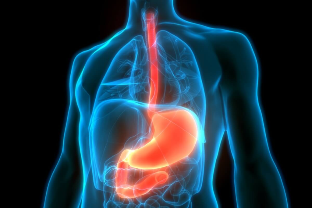 Veja cuidados importantes para prevenir o câncer de esôfago veja-cuidados-importantes-para-prevenir-o-cancer-de-esofago