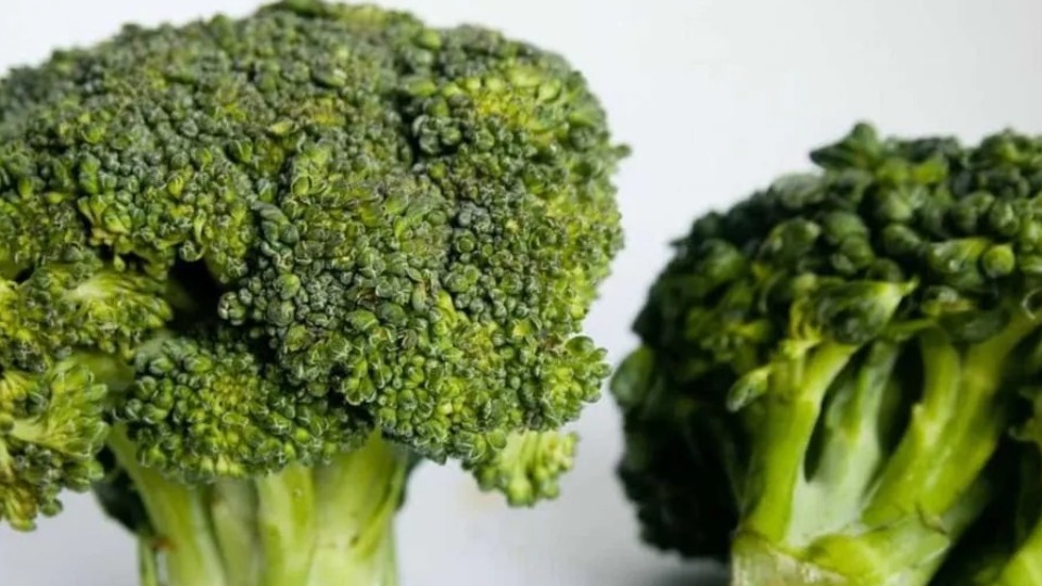 Brócolis têm baixo teor calórico e é rico em fibras e vitaminas brocolis-tem-baixo-teor-calorico-e-e-rico-em-fibras-e-vitaminas