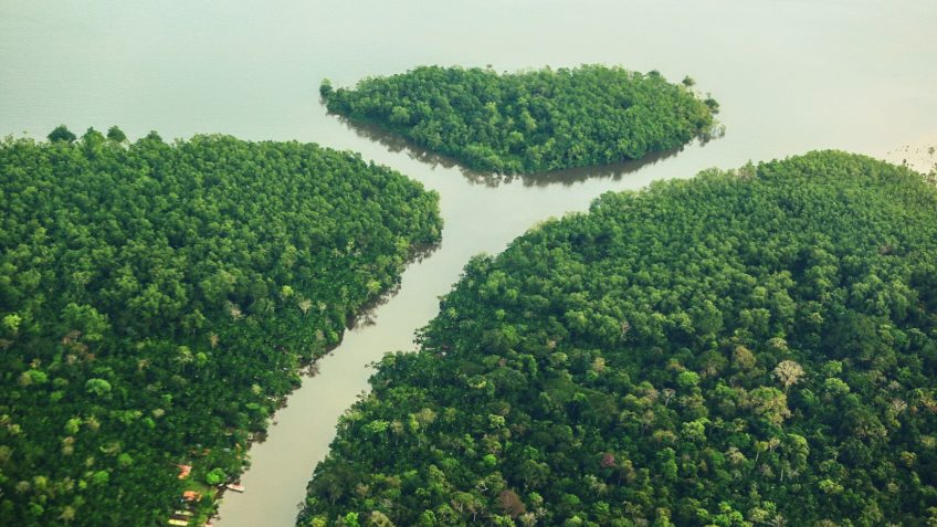 Degradação da Amazônia cresce 163% em 2 anos degradacao-da-amazonia-cresce-163%-em-2-anos