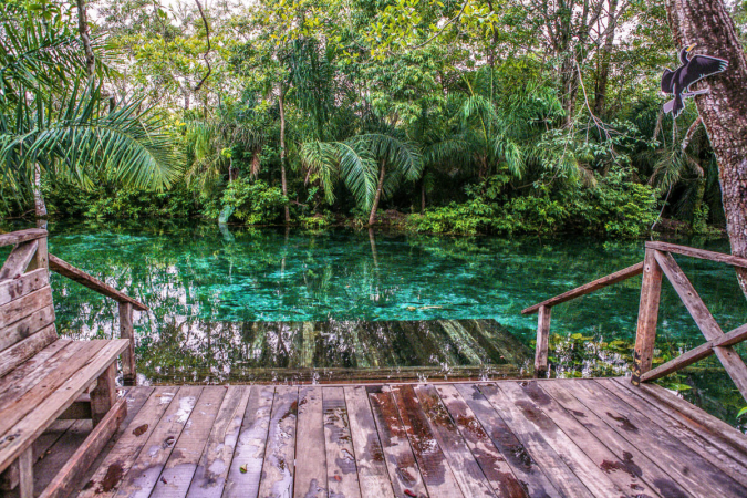 Desmatamento ameaça ecoturismo em Bonito, MS desmatamento-ameaca-ecoturismo-em-bonito,-ms