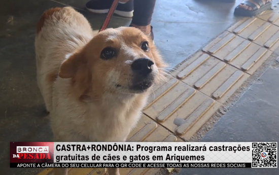 CASTRA+RONDÔNIA – Programa realizará castrações gratuitas de cães e gatos em Ariquemes castra+rondonia-–-programa-realizara-castracoes-gratuitas-de-caes-e-gatos-em-ariquemes