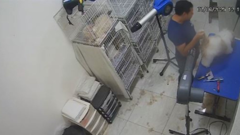 VÍDEO: cachorrinha é agredida por funcionário de pet shop durante a tosa video:-cachorrinha-e-agredida-por-funcionario-de-pet-shop-durante-a-tosa