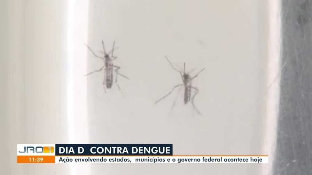 Ministério da Saúde confirma primeiras mortes por dengue e chikungunya de 2025 em Rondônia ministerio-da-saude-confirma-primeiras-mortes-por-dengue-e-chikungunya-de-2025-em-rondonia