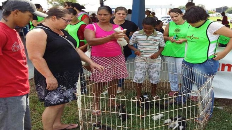 Feira de Adoção de animais é realizada no Cedel do BNH feira-de-adocao-de-animais-e-realizada-no-cedel-do-bnh