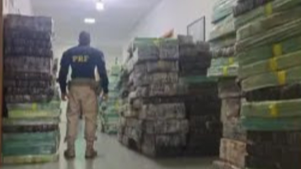 PRF apreende mais de 6 toneladas de maconha na BR prf-apreende-mais-de-6-toneladas-de-maconha-na-br