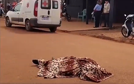 Homem é morto a tiros no meio da rua em Vista Alegre do Abunã homem-e-morto-a-tiros-no-meio-da-rua-em-vista-alegre-do-abuna