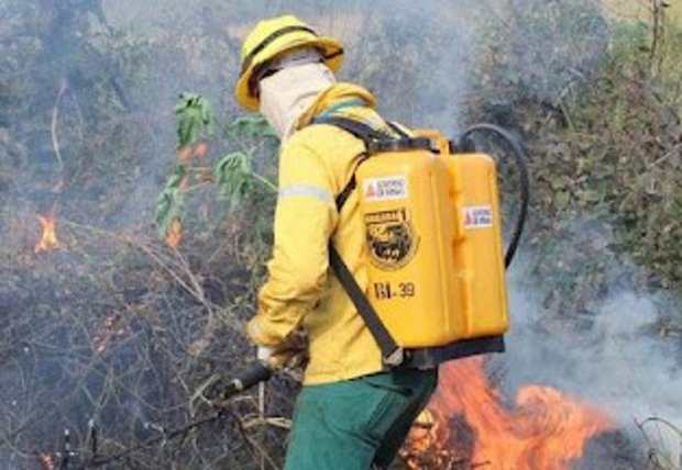 Corpo de Bombeiros abre 262 vagas para Brigadistas Temporários em Rondônia corpo-de-bombeiros-abre-262-vagas-para-brigadistas-temporarios-em-rondonia