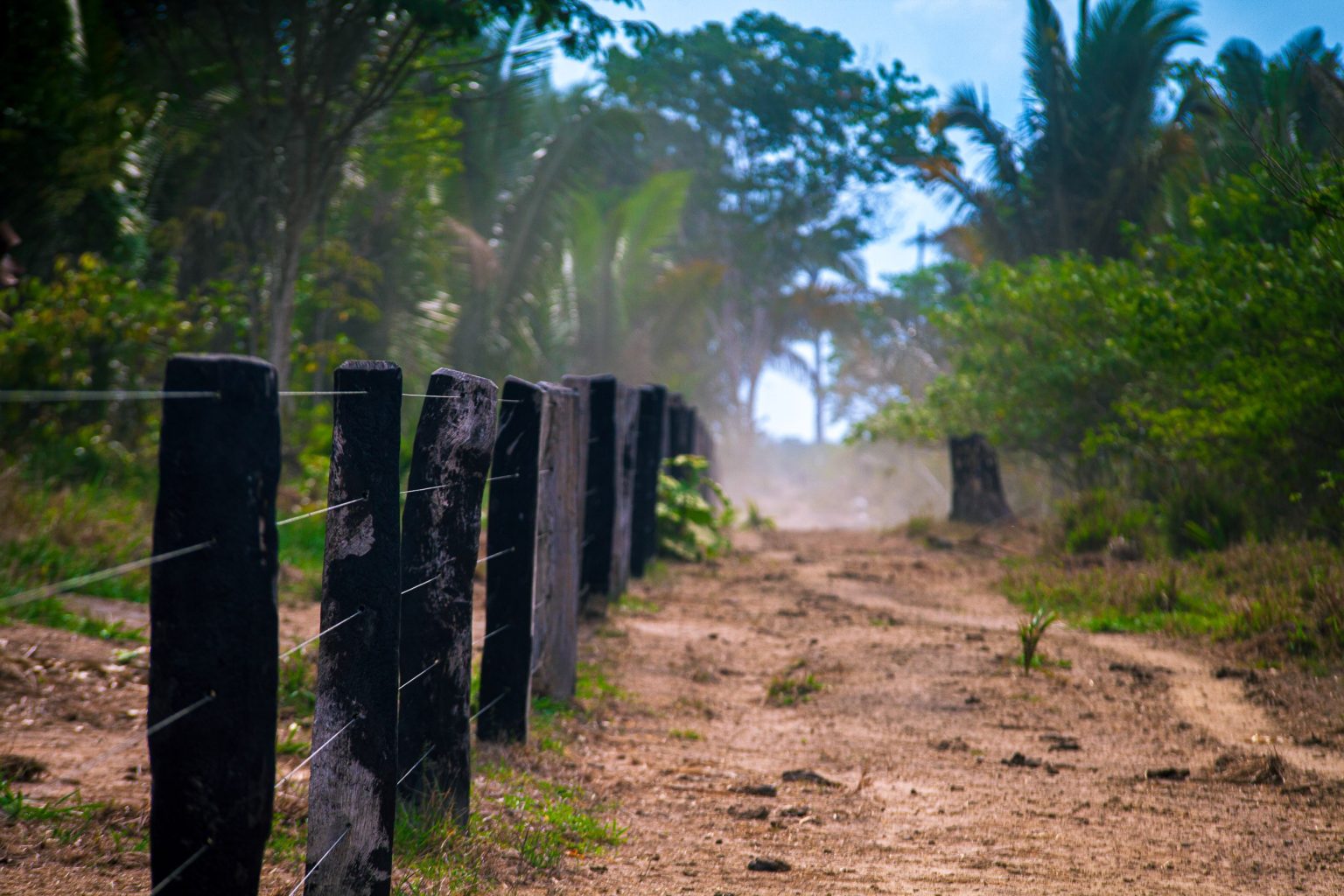 assembleia-aprova-credito-de-quase-r$-3-milhoes-para-regularizacao-fundiaria-em-ro