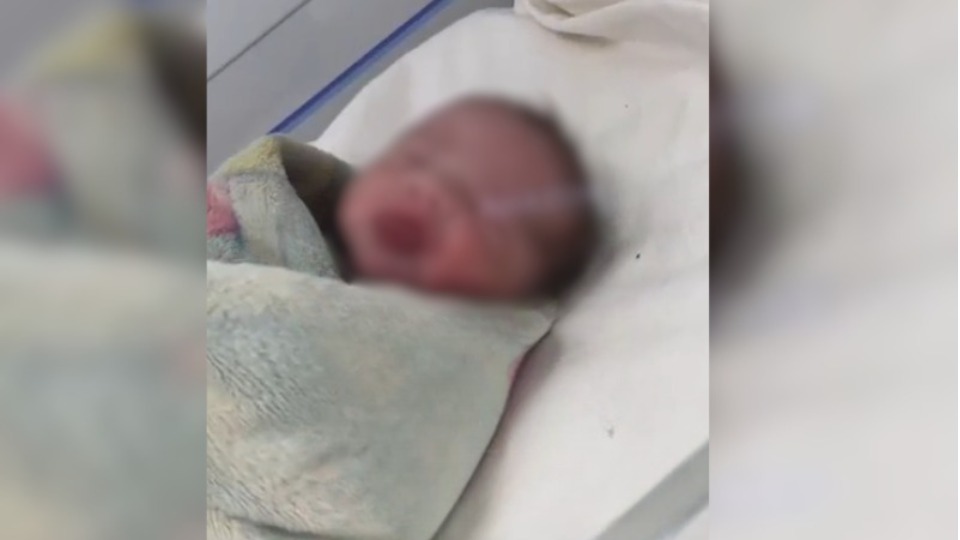 VÍDEO: bebê jogado de barranco pesa 3 quilos e recebe cuidados na Maternidade video:-bebe-jogado-de-barranco-pesa-3-quilos-e-recebe-cuidados-na-maternidade