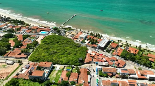 Cajueiro no RN vai perder o posto de maior do mundo com poda? Entenda cajueiro-no-rn-vai-perder-o-posto-de-maior-do-mundo-com-poda?-entenda