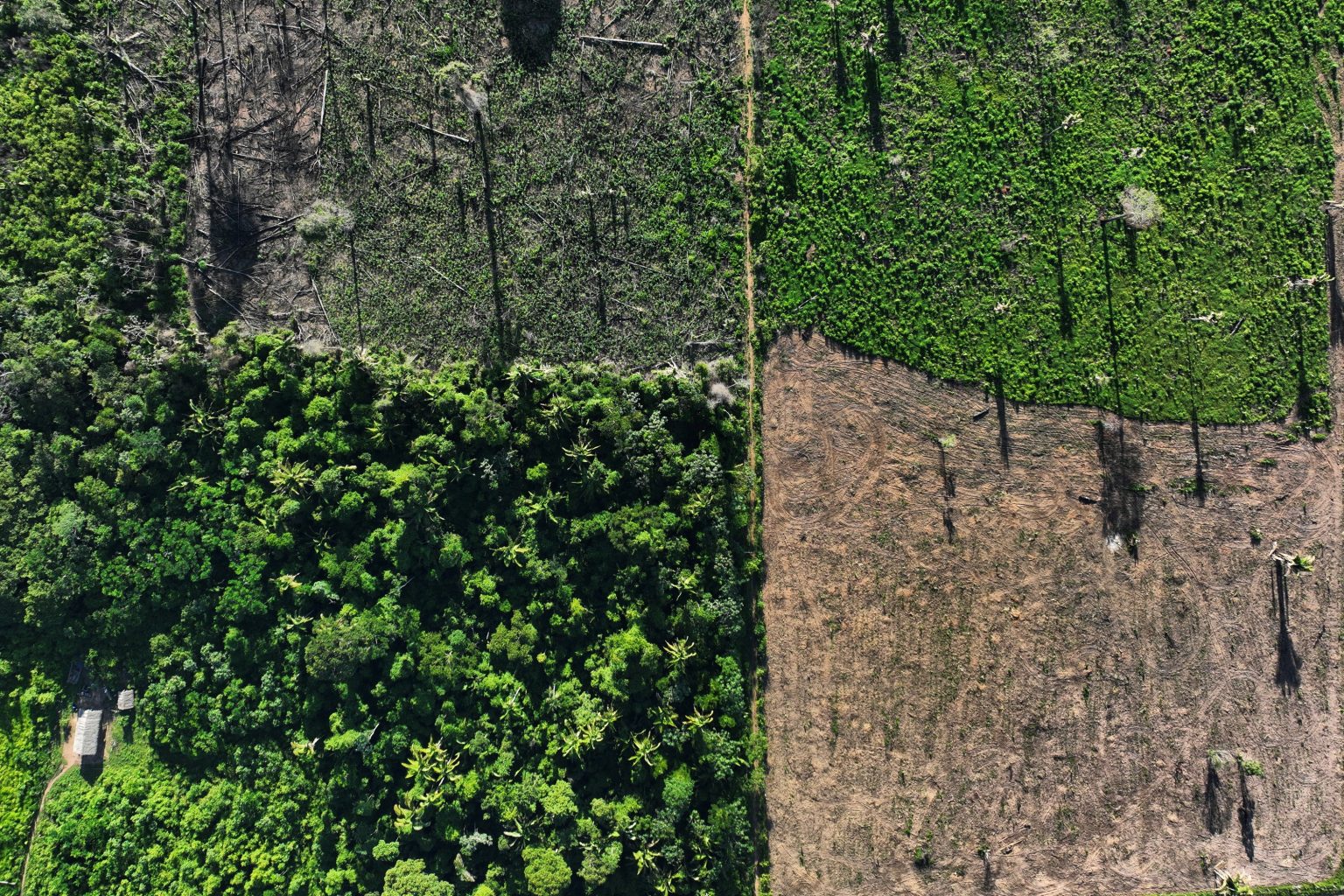 Inpe: alertas de desmatamento na Amazônia sobem 27% no 1º semestre inpe:-alertas-de-desmatamento-na-amazonia-sobem-27%-no-1o-semestre