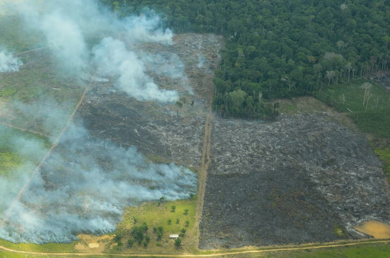 Desmatamento na Amazônia cresce 27% no 1º semestre de 2025, diz Inpe desmatamento-na-amazonia-cresce-27%-no-1o-semestre-de-2025,-diz-inpe