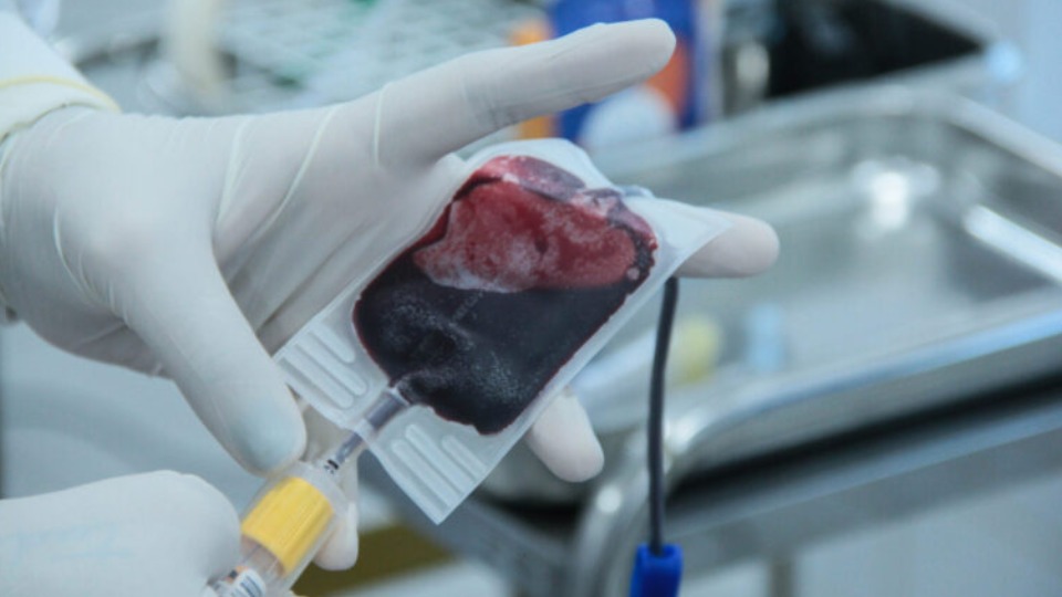 Fhemeron reforça ações para manter estoques de sangue no período de férias fhemeron-reforca-acoes-para-manter-estoques-de-sangue-no-periodo-de-ferias