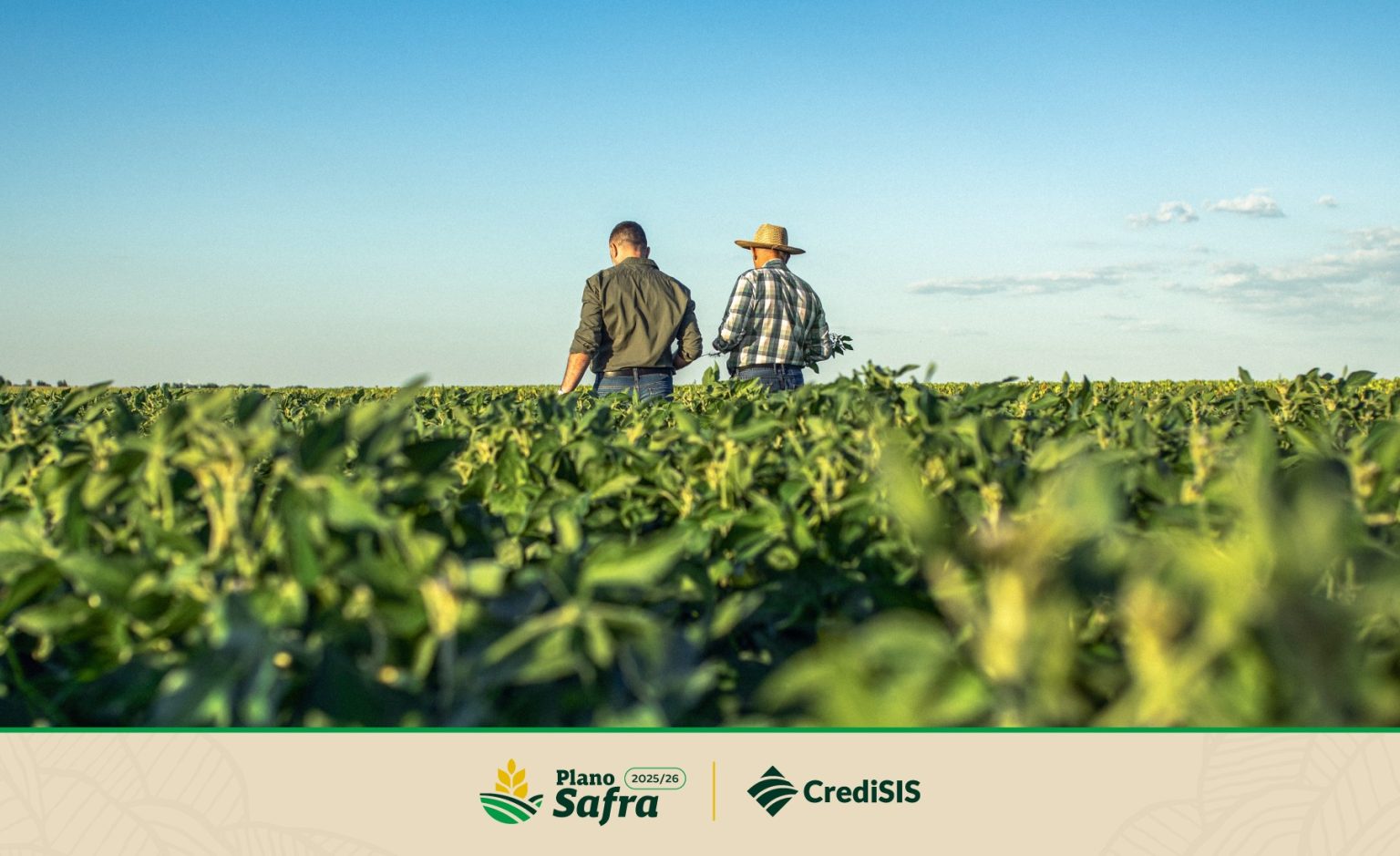 credisis-impulsiona-o-agro-com-credito-rural-sob-medida-no-novo-plano-safra
