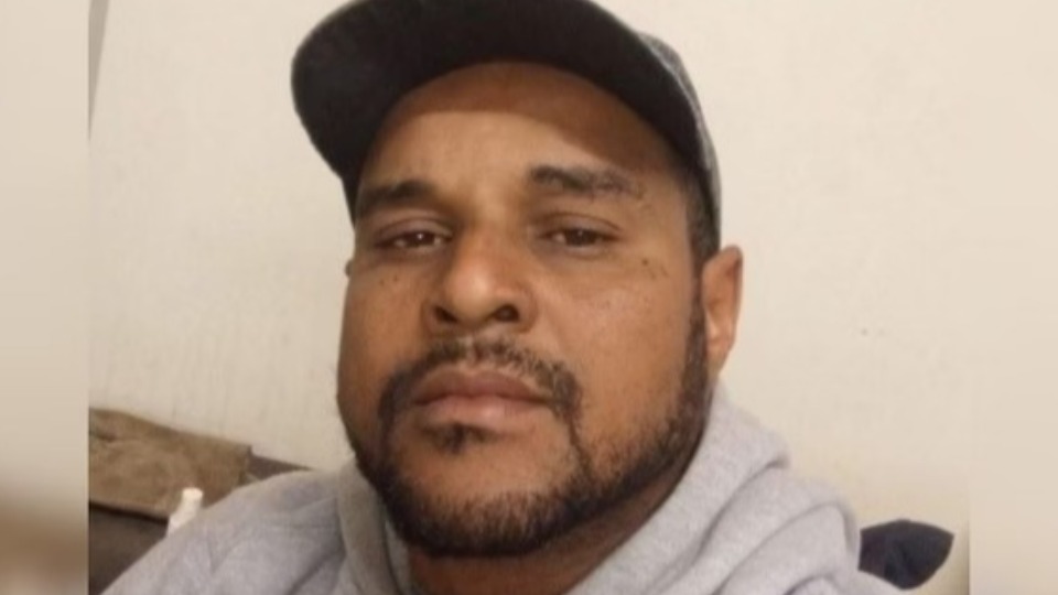 Atacado por abelhas, operário morre após cair de plataforma de 6m atacado-por-abelhas,-operario-morre-apos-cair-de-plataforma-de-6m