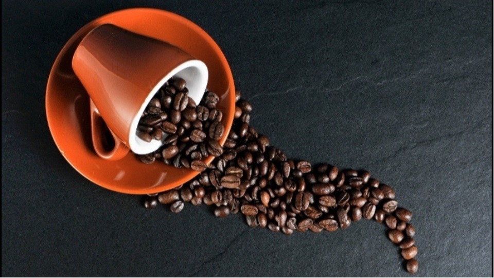Safra 2024/25: exportações de café superam US$ 14 bilhões safra-2024/25:-exportacoes-de-cafe-superam-us$-14-bilhoes