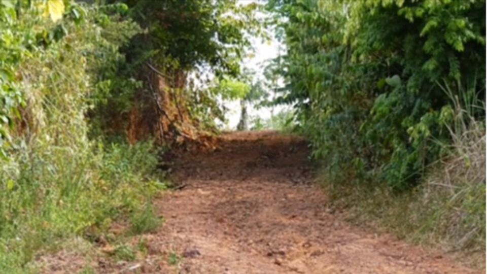 SGC TV: Produtores rurais da Vila Princesa lutam por melhorias em estrada sgc-tv:-produtores-rurais-da-vila-princesa-lutam-por-melhorias-em-estrada