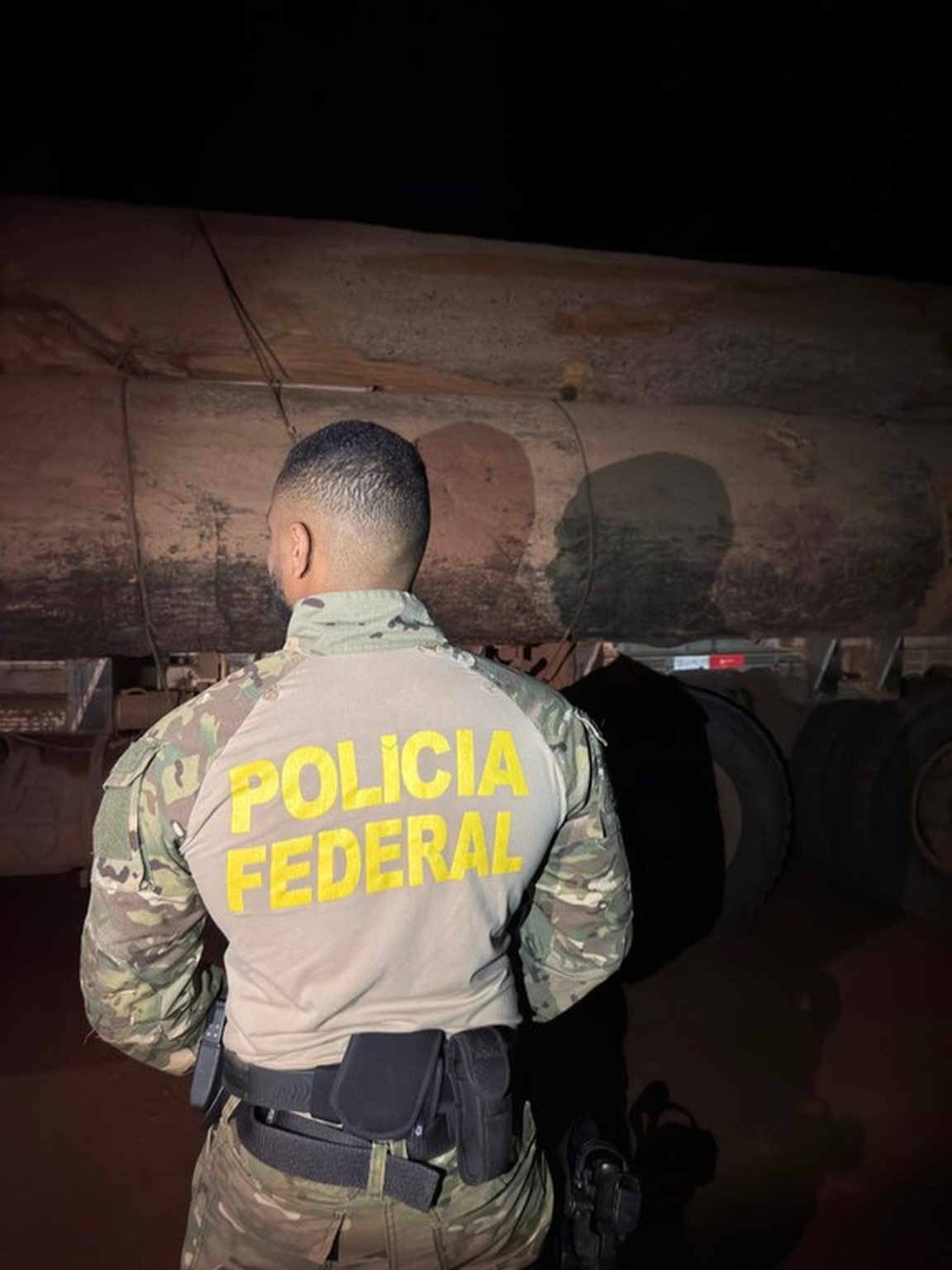 pf-prende-duas-pessoas-por-transporte-ilegal-de-madeiras-em-ro