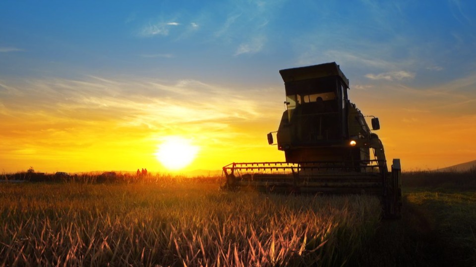 Com crédito recorde, Plano Safra desafia o campo a inovar mais com-credito-recorde,-plano-safra-desafia-o-campo-a-inovar-mais