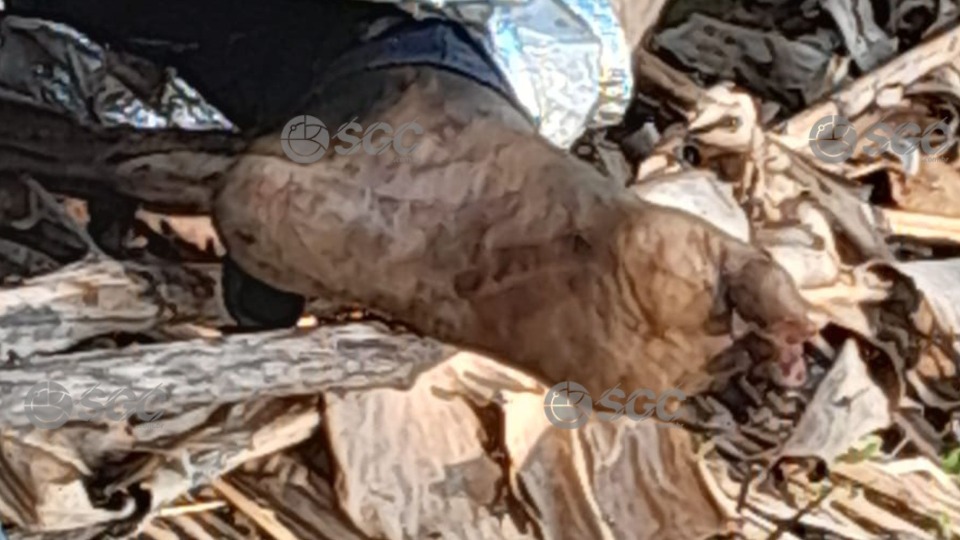 Corpo em decomposição é encontrado na zona Sul de Porto Velho corpo-em-decomposicao-e-encontrado-na-zona-sul-de-porto-velho