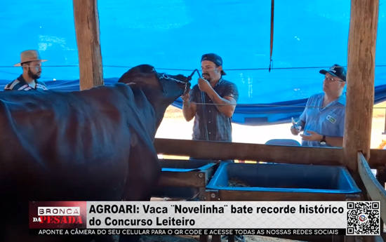 AGROARI: Vaca “Novelinha” bate recorde histórico do Concurso Leiteiro agroari:-vaca-“novelinha”-bate-recorde-historico-do-concurso-leiteiro