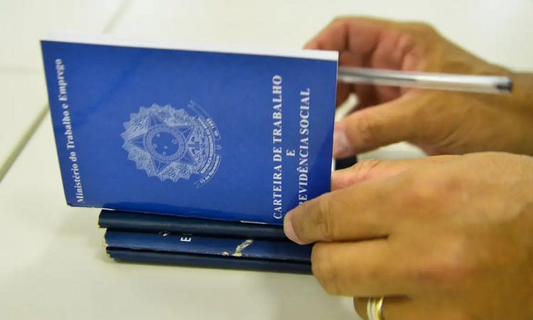 Taxa de desemprego no Brasil cai 5,8% no segundo trimestre taxa-de-desemprego-no-brasil-cai-5,8%-no-segundo-trimestre