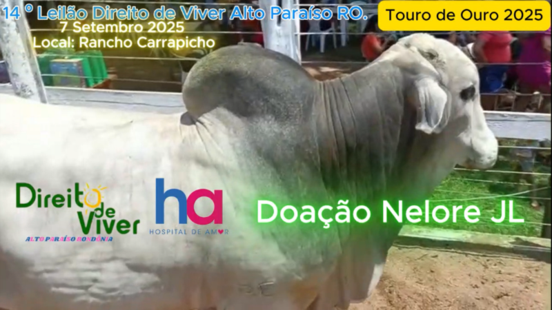 Ótimas notícias! O 14º Leilão Direito de Viver de Alto Paraíso, Rondônia, já está a todo vapor! A diretoria iniciou os preparativos para o evento