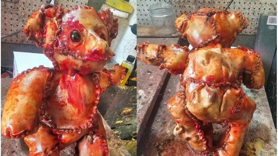 Descoberta de ursinho de descoberta-de-ursinho-de