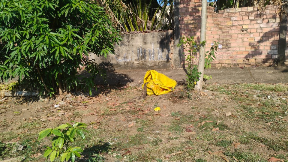 VÍDEO: Corpo amarrado com fios e enrolado em lona é encontrado em calçada de residência video:-corpo-amarrado-com-fios-e-enrolado-em-lona-e-encontrado-em-calcada-de-residencia