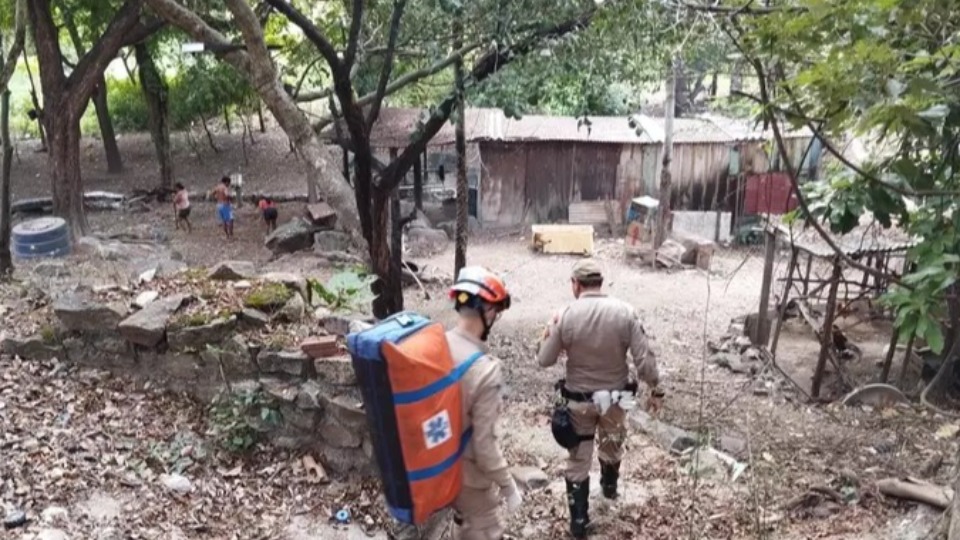 Homem é atacado por onça ao tentar salvar cachorro homem-e-atacado-por-onca-ao-tentar-salvar-cachorro