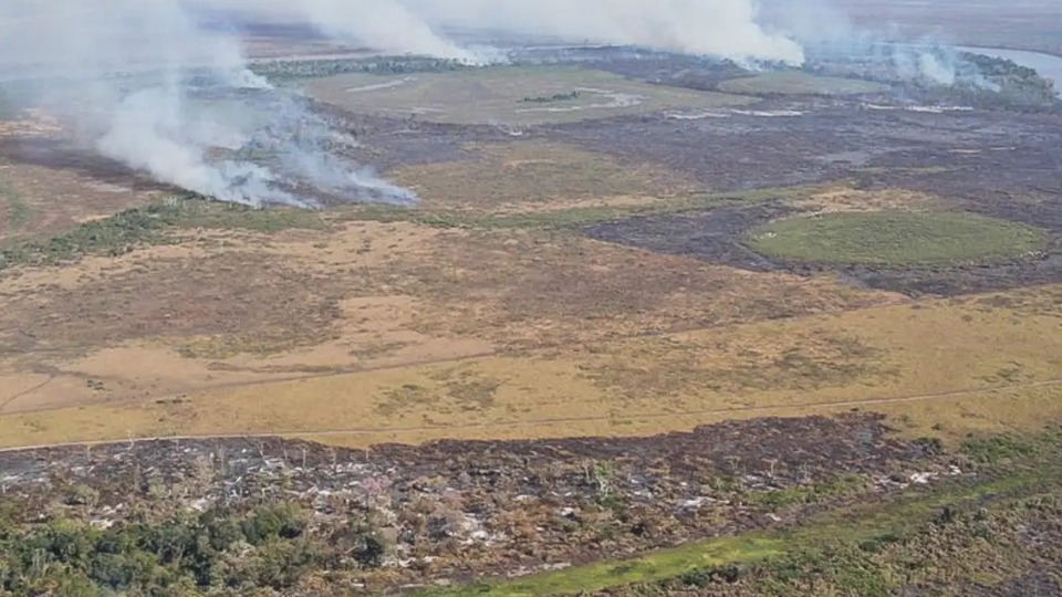 Mais de R$ 31 bilhões podem ser aplicados em recuperação ambiental no Brasil mais-de-r$-31-bilhoes-podem-ser-aplicados-em-recuperacao-ambiental-no-brasil