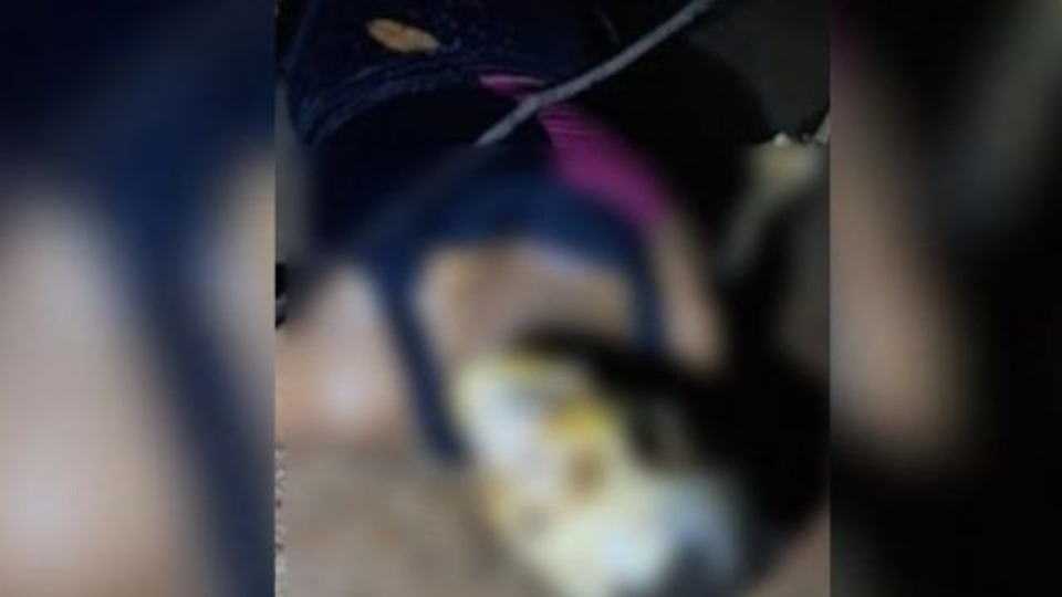Pescadores encontram corpo em rio com rosto parcialmente devorado por peixes pescadores-encontram-corpo-em-rio-com-rosto-parcialmente-devorado-por-peixes
