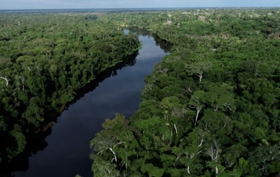 Governo de Rondônia conquista redução de 35% de áreas sob alerta de desmatamento governo-de-rondonia-conquista-reducao-de-35%-de-areas-sob-alerta-de-desmatamento