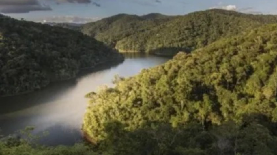 Brasil perde vegetação natural equivalente ao tamanho da Bolívia em 40 anos brasil-perde-vegetacao-natural-equivalente-ao-tamanho-da-bolivia-em-40-anos