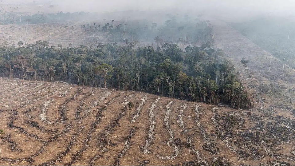 Meio ambiente: Apenas 7% de ações judiciais de grilagem na Amazônia têm condenação meio-ambiente:-apenas-7%-de-acoes-judiciais-de-grilagem-na-amazonia-tem-condenacao