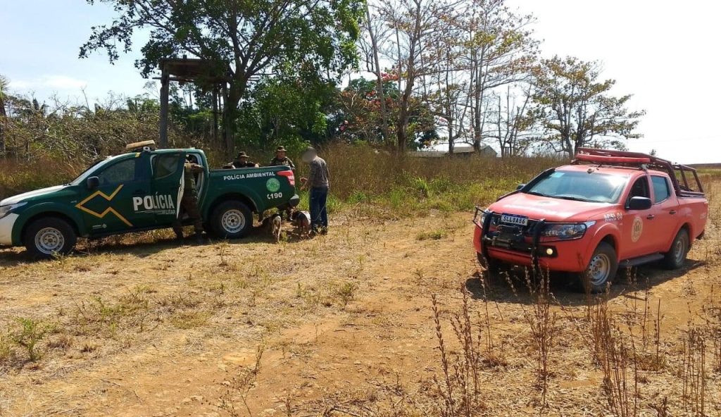 Caçadores são presos com animais abatidos e armas ilegais em Campo Novo de Rondônia cacadores-sao-presos-com-animais-abatidos-e-armas-ilegais-em-campo-novo-de-rondonia