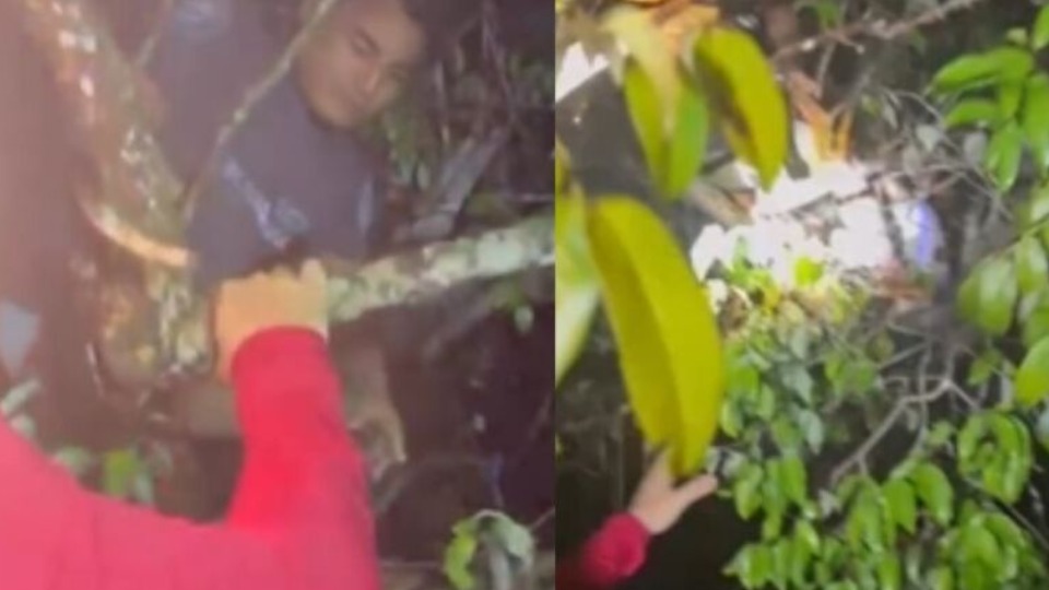 VÍDEO: homens são encontrados presos em galhos após naufrágio video:-homens-sao-encontrados-presos-em-galhos-apos-naufragio