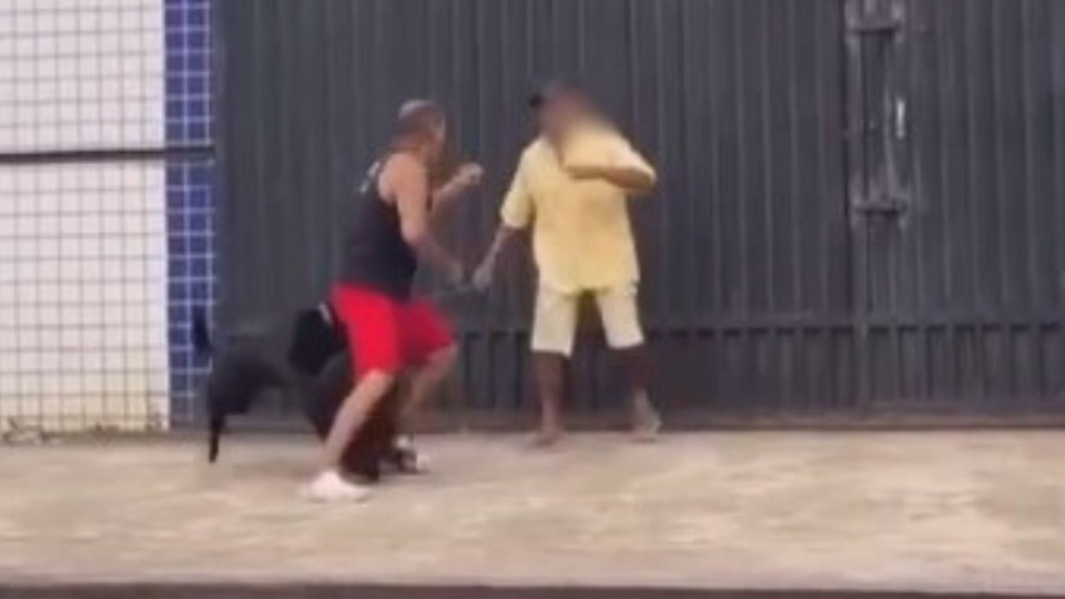 VÍDEO: cães e tutores se enfrentam em briga video:-caes-e-tutores-se-enfrentam-em-briga