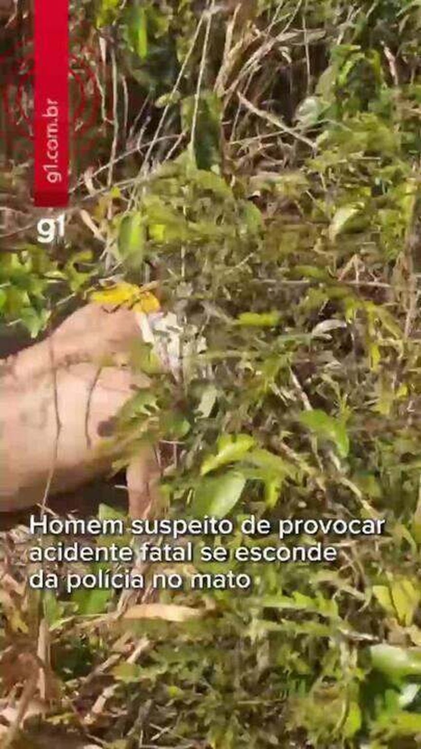 servidor-e-preso-apos-causar-acidente-com-morte-e-tentar-fugir-em-porto-velho