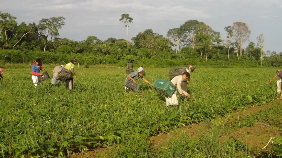 Programa AgroAmigo oferece R$ 1 bilhão em microcrédito programa-agroamigo-oferece-r$-1-bilhao-em-microcredito